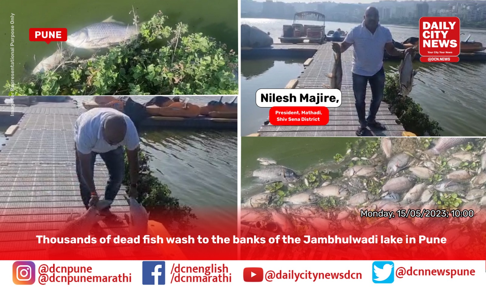 Thousands of dead fish wash to the banks of the Jambhulwadi lake in Pune