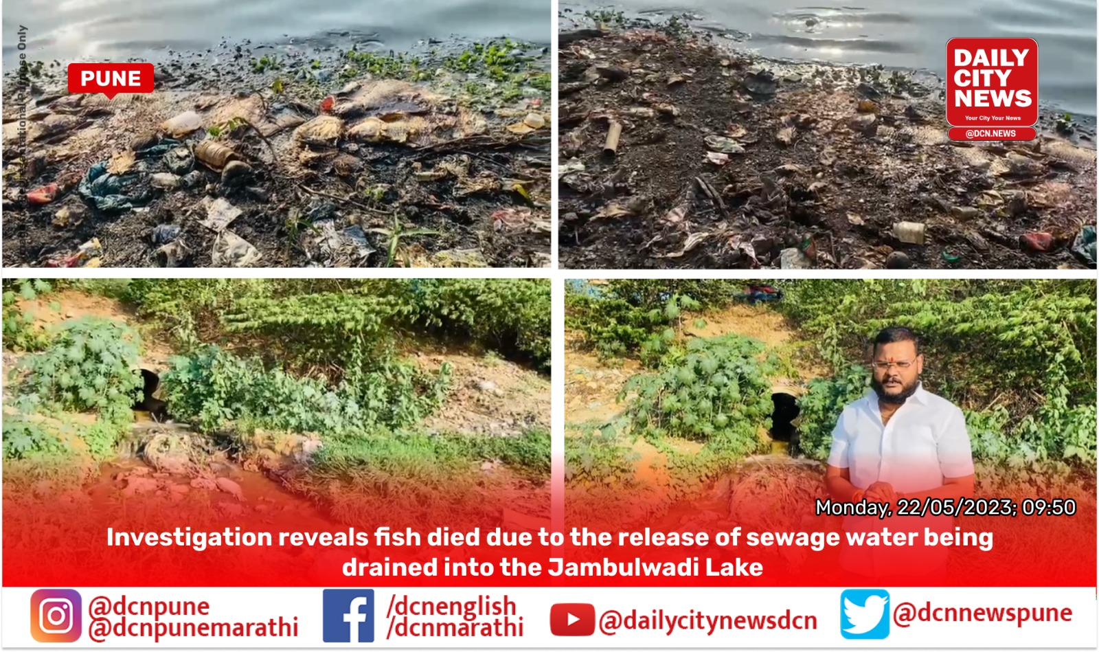 Investigation reveals fish died due to the release of sewage water being drained into the Jambulwadi Lake